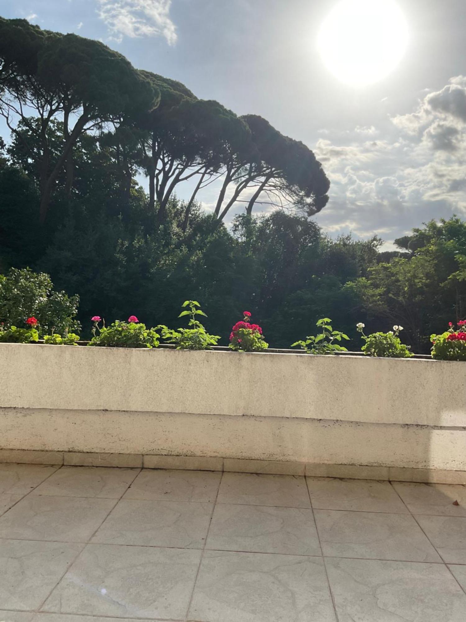 Villa Monte Herceg Novi Esterno foto
