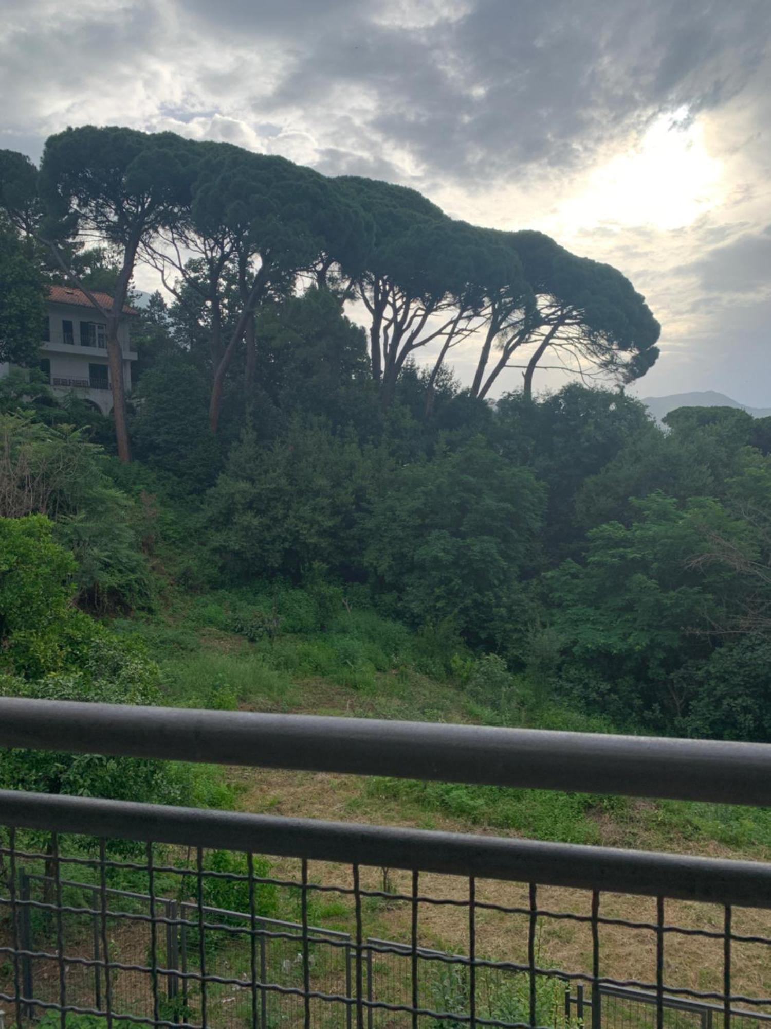 Villa Monte Herceg Novi Esterno foto